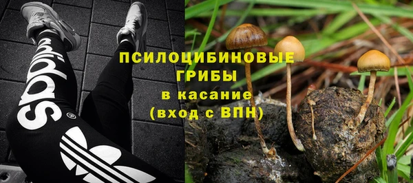 jwh Аркадак