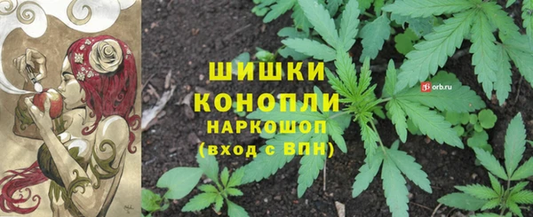 экстази Арсеньев