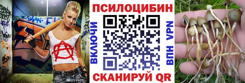 Псилоцибиновые грибы Psilocybine cubensis  это какой сайт  Иркутск 